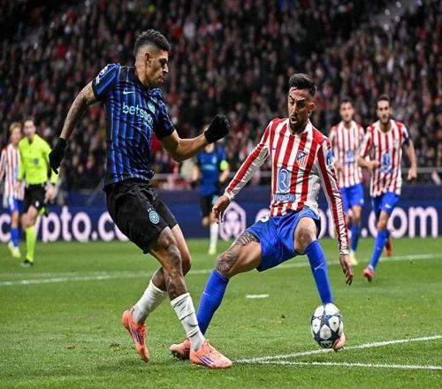 威尔型的左 威尔型的左