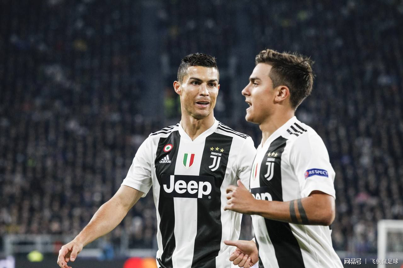 本尝试以联 本尝试以联