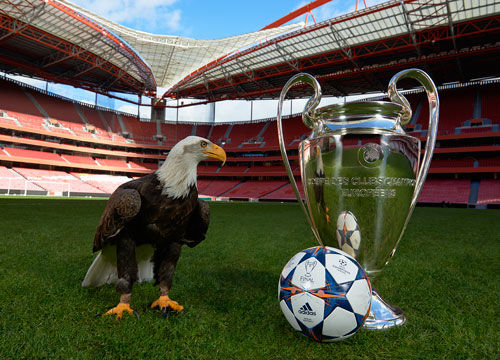 多线作战 多线作战